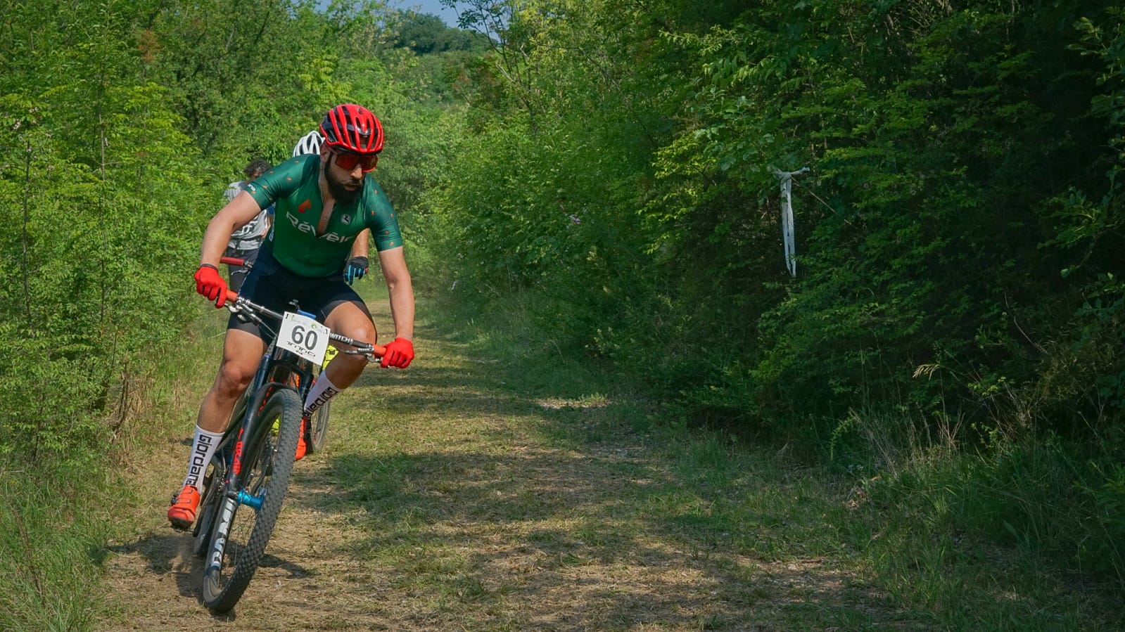 Bike a tutto tondo.. GF, Circuiti, MTB